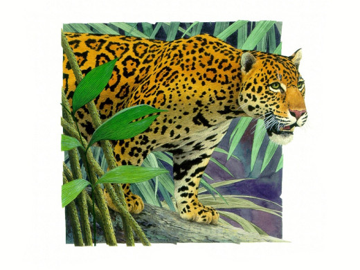 296363 (a): :1024x768